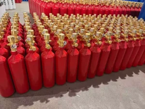 10kg Portable CO2 Fire Extinguishers for Shops and Homes