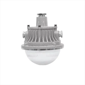 15W 20W 30W IP66 LED Flameproof Moisture proof AC220V Emergency Wall mounted Ceiling mounted Explosion proof Lamps