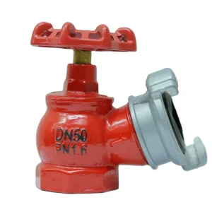 16K50 2 Inch Indoor Fire Hydrant