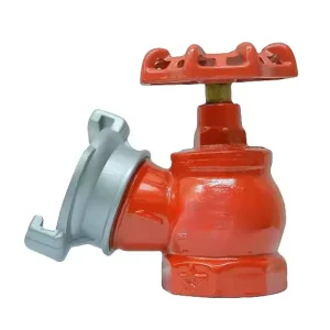 16K50 2 Inch Stainless Steel Cast Iron Indoor Fire Hydrant with 1.6Mpa Working Pressure for Class A B Fires