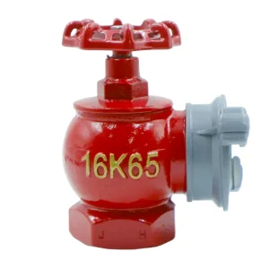16K65 Cast Iron Fire Hydrant Valve Indoor Fire Fighting Valve DN65 for Fire Fighting System