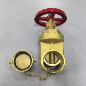 2 1 2 Inch Brass Fire Hose Gate Valve Threaded End with Test Port for Fire Hydrants