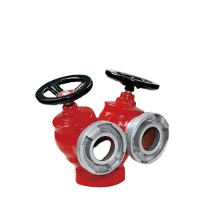 2 1/2 Inch Double-outlet Fire Hydrant Valve SNSS65