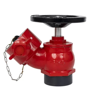 2.5” (65mm) Flange Fire Hydrant Landing Valve Brass Firefighting Equipment Accessories Cast Iron Pig Iron SN50&SN65 Fire Fight