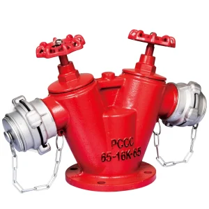 2.5″ Double Valve Double Outlet Fire Hydrant DN65 Cast Iron Two Way Landing Valve