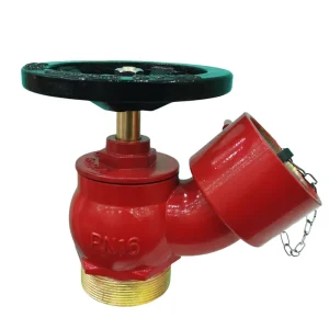 2.5 Inch BSP Male Thread Aluminum Alloy Gunmetal Landing Valve for Firefighting Fire Hydrant Fighting Equipment Accessory