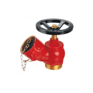 2.5 Inch Brass Inclined Hydrant Valve