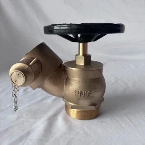 2.5 Inch Bronze Horizontal Fire Water BS Landing Valve BSI Certified Firefighting Equipment Accessories