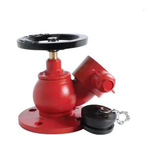 2.5 Inch Flange Inlet Oblique Fire Hydrant Landing Valve