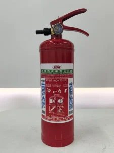 2L Carbon Steel Water-Based Fire Extinguisher with Training Foam for Class A & B Fires Customizable and Portable