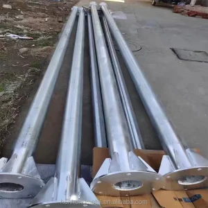 304 Stainless Steel Hot Dip Galvanized Lightning Rod Small Roof Arrester ISO 9001 Certified for Lightning