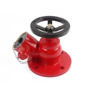 360 Degree Rotatable Indoor Fire Hydrant Flange Type Fire Landing Valve with Dust Cap