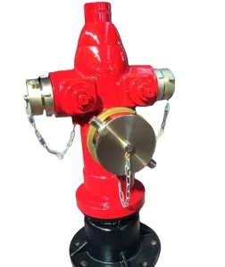 4 Inches Vertical Inlet 2.5” Outlet Ground Dry Pillar Fire Hydrant