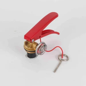 4.5kg 10bls 6kg 9kg 20lbs Dry Powder ABC Fire Extinguisher Valve Firefighting Equipment Accessories Valve