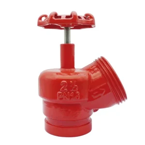 45 Degree PN16 Fire Angle Valve 2.5 Inch Globe Angular Angle Valve for Fire Hydrant