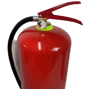 4L 6L 9L AFFF3% Carbon Steel 15Bar Portable Foam Fire Extinguisher Fire Fighting Equipment