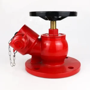 65mm Fire Hydrant Valve Flanged Inlet Marine Oblique Hydrant Valves Flanged Inlet Landing Valves