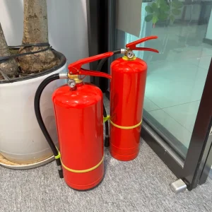 6kg Dry Chemical Powder Fire Extinguisher MFZ ABC5 Low Price Steel Structure for Fire Protection Carl Brand Red