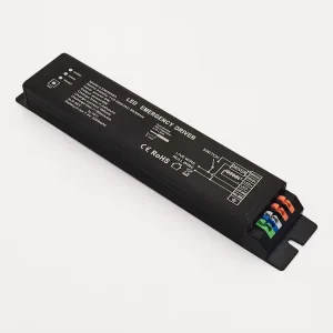 AC 85-265V 50/60Hz Dual Output AC-DC Emergency Driver LED Light Emergency Inverter