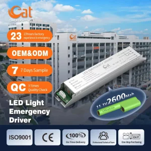 AC 85V 265V 5-20W Led Emergency Backup Driver Maintained Emergency Light Driver
