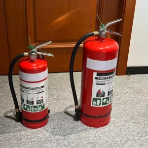 AS NZS Approved Australian Standard Carl Red Carbon Steel ABE Dry Chemical Fire Extinguisher ABC Class 2.5kg 4.5kg 9kg Car Use