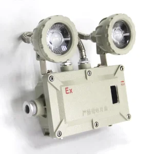 ATEX Led Explosion proof Light Emergency Exit Lighting Anti Explosive Lamp Double Head 2x5w for Hazardous Place