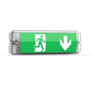 Automatically Waterproof Wall And Ceiling Mounted Maintained non maintained Emergency Bulkhead Light