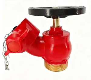 BS336 Single head Inclined Type 2.5 inch Brass Wet type Riser Drop Valve Used for Flexible Fire Valves in Fire Hydrant Systems