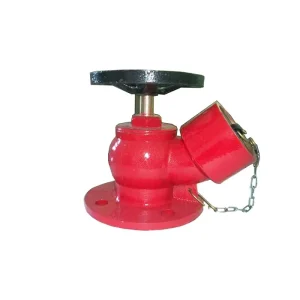 BS750 Ductile Cast Iron 2 Way Pillar Type Landing Fire Hydrant for Sale
