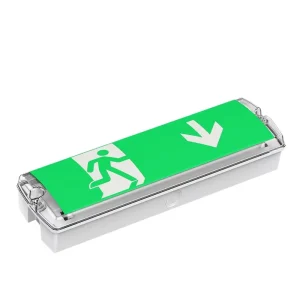 Best selling CE UKCA IP65 Waterproof Emergency Lights in Europe