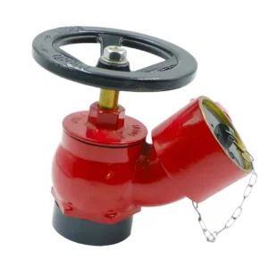 Brass DN65 Indoor Fire Hydrant Valve 1.6MPa Angle Type Fire Fighting Valve for Fire Protection System