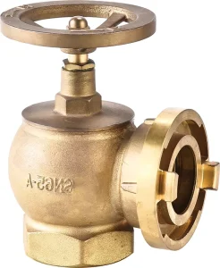 Brass Flexible Indoor Fire Hydrant Anti-Rust Valve DN65 Firefighting Equipment Accessories