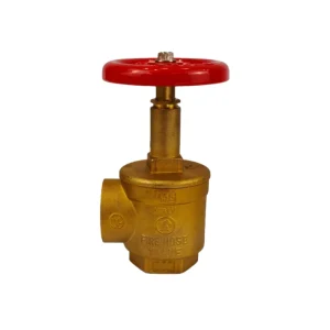 Brass Indoor Fire Hydrant with Angle Valve Fire Fighting Equipment Accessory