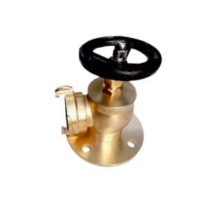 Brass Landing Valve Fire Hose Hydrant for Firefighting and Fire Sprinkler Systems