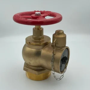 Brass Right Angle Fire Fighting Hydrant Indoor Valve 3 Inch SA