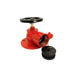 British Right Angle Valve Fire Hydrant Water Valve Flange Bright Angle Landing Valve