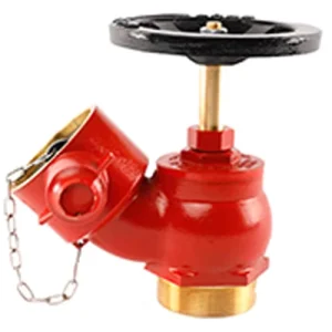 Cast Iron Fire Hydrant Landing Valve Manufacturers Indoor Fire Hydrant (Landing Dry Riser Deck) Valve 2.5 Inch Flange Type