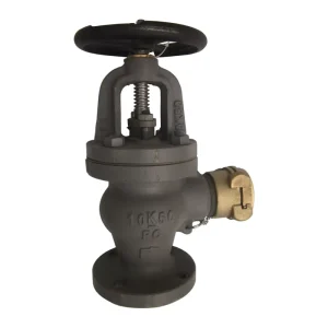 Cast Iron Hose Valves Fire Hydrant Angle Type JIS F7333 5K/10K Marine Valves DN50 DN65