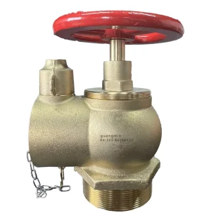 Cast Iron Indoor Mitre Bolt Fire Hydrant PN16 Firefighting Equipment Accessories AG 8 Clean Water Foam