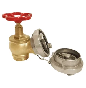 Copper Fire Department Connection Valve 2.5″ NPT Fire Hydrant Valve with Caps & Chain