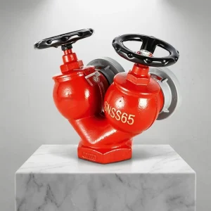 Custom SS65 Double Valve Double Outlet FireFighting Protection Safety Equipment Indoor Fire Hydrant Valve
