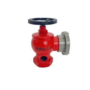 Customizable Indoor Fire Hydrant Cast Iron Fire Extinguishing System Durable