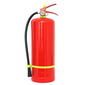 Customized ABC Dry Powder Fire Extinguisher PQS Extintor