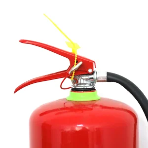 Customized Dry Powder 6kg Fire Extinguisher CO2 Foam HCFC Extintor with Steel Bottle Empty Fire Cylinder