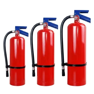 Customized Logo Powder Fire Extinguisher Multifunctional Powerful Firefighting Supplier Dry Powder Blue Valve Fire Extinguisher