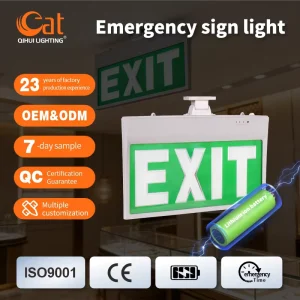 Customized Pattern Ceiling Mount 4W Acrylic Fire LED Emergency Exit Sign Light With Battery Backup