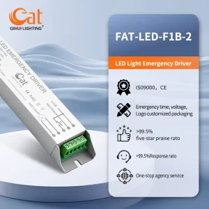 DC220V 5 20W LED Tube Down Light Panel Light Driver LED Lighting Emergency Kit Driver Emergency Ballast