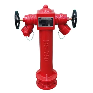 DN100 DN150 Durable Cast Iron Outdoor Fire Hydrant for Airport Fire Protection Customizable