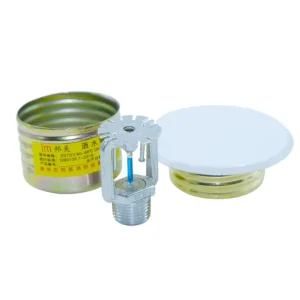 DN15 Q3 Degree with White Cover Plate Brass Chrome Finish Flush Mount Sprinkler K80 141℃ Automatic Concealed Fire Sprinkler Head