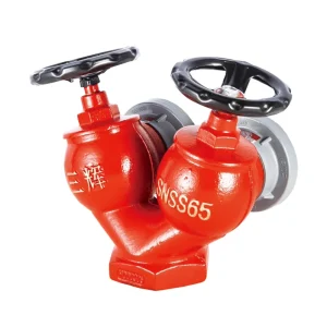DN65 Double Outlet Fire Hydrant with Flexible Feature for High Rise Buildings Pressure Reducing System